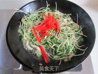 姬菇炒豆苗的做法步骤：5