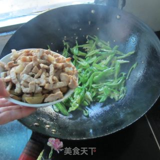 青椒豆腐卷炒肉的做法步骤：10