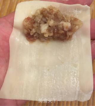 鲜肉馄饨的做法步骤：13