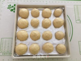 麦胚淡奶油小餐包的做法步骤：4