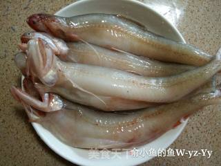 东海小白龙豆腐鱼的做法步骤：1