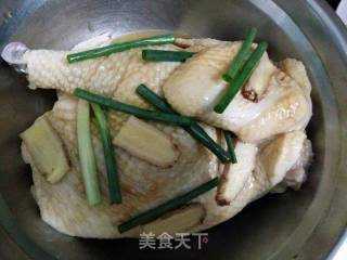 电饭煲手撕鸡的做法步骤：4