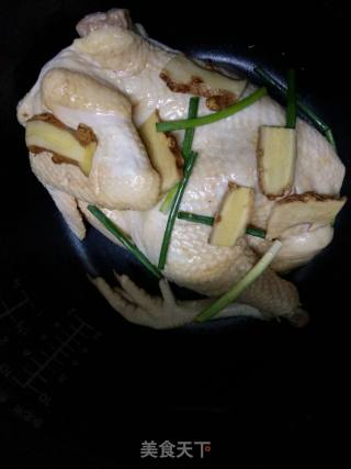 电饭煲手撕鸡的做法步骤：6