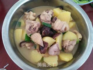 土豆烧鸡块的做法步骤：13