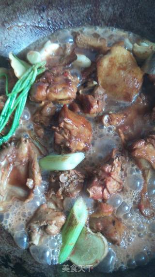 啤酒炖鸭肉的做法步骤：9