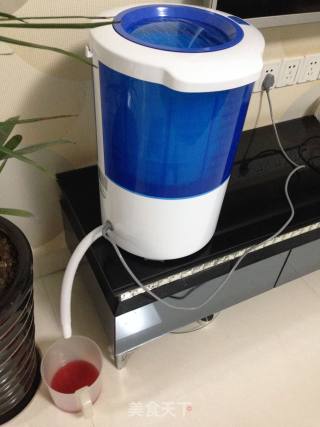 发酵型杨梅酒的做法步骤：7