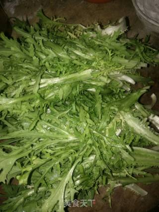 凉拌苦菊的做法步骤：1