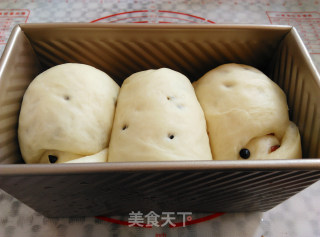巧克力蔓越莓吐司的做法步骤：13