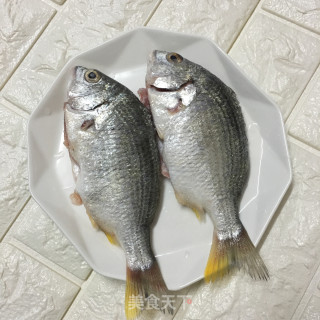 煎黄鳍鲷的做法步骤：1