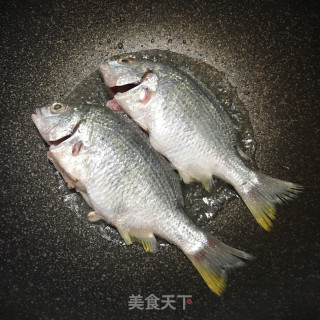 煎黄鳍鲷的做法步骤：3
