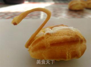 天鹅泡芙的做法步骤：17