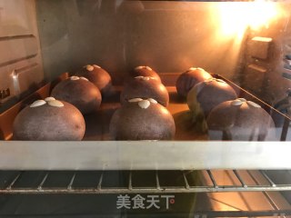 可可麻薯蜜豆包的做法步骤：10