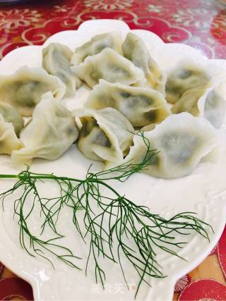茴香饺子的做法步骤：18