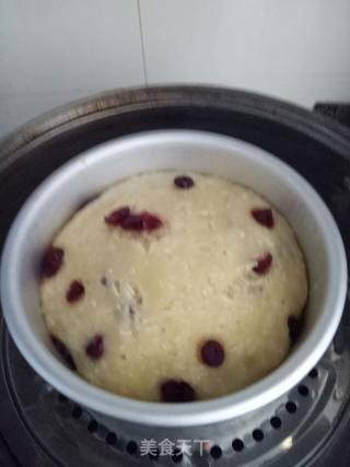 酒酿蔓越莓鸡蛋蒸糕的做法步骤：13