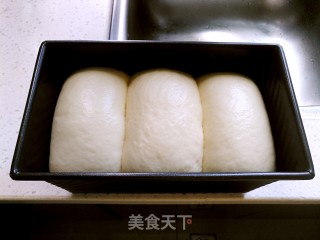 中种北海道吐司的做法步骤：12