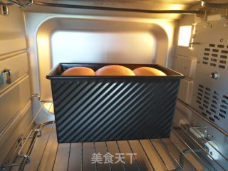 中种北海道吐司的做法步骤：13