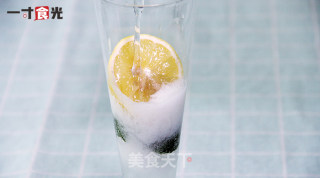 柠檬薄荷潘趣酒的做法步骤：3