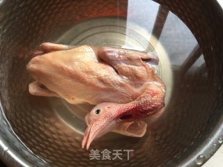 当归黄芪炖乳鸽的做法步骤：2