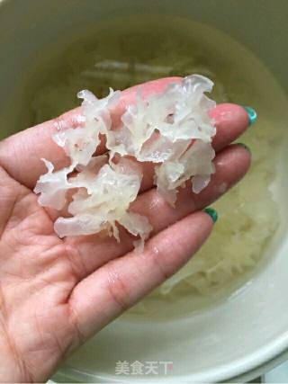 鱼胶银耳羹～女人滋补佳品的做法步骤：6