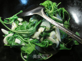 茭白炒白米苋的做法步骤：4