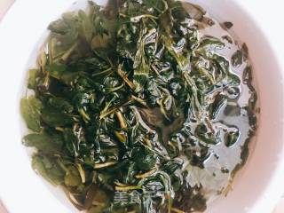 蒜泥野麻菜的做法步骤：1
