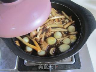 茶树菇烧鹌鹑蛋的做法步骤：9