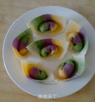 五彩馄饨的做法步骤：9