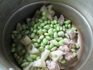 毛豆莲藕排骨汤的做法步骤：3