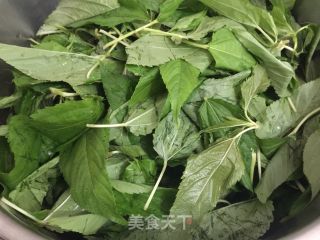 蒜蓉豆酱酱麻叶的做法步骤：1