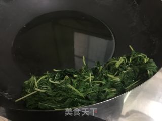 蒜蓉豆酱酱麻叶的做法步骤：6