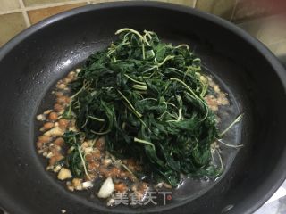 蒜蓉豆酱酱麻叶的做法步骤：11