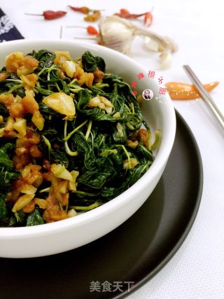 蒜蓉豆酱酱麻叶的做法步骤：13