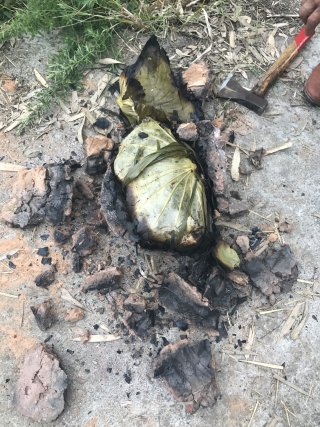 乡间版叫花鸡的做法步骤：6
