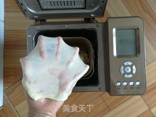 酸奶吐司（波兰种）的做法步骤：4