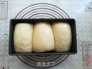 酸奶吐司（波兰种）的做法步骤：16