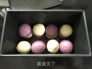 双色棋格吐司的做法步骤：6