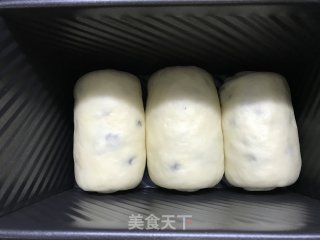蔓越莓吐司的做法步骤：10