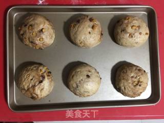 淡奶油花生巧克力网格包的做法步骤：6