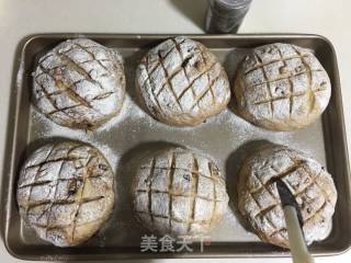 淡奶油花生巧克力网格包的做法步骤：7