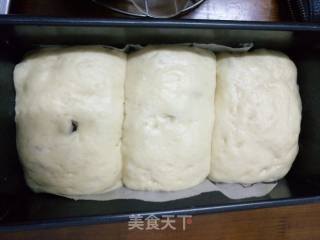 葡萄干蜜豆一次性发酵快手吐司的做法步骤：3