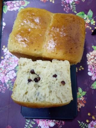 葡萄干蜜豆一次性发酵快手吐司的做法步骤：5