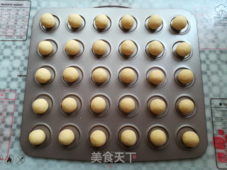 黄金椰蓉球的做法步骤：10