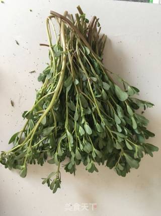凉拌马齿苋的做法步骤：1