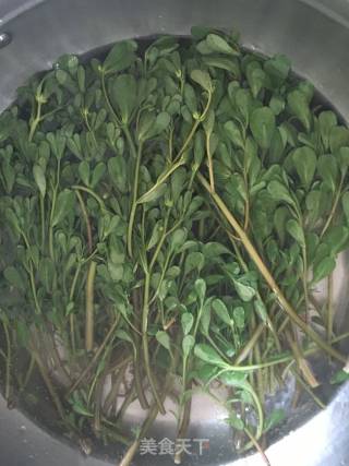 凉拌马齿苋的做法步骤：2
