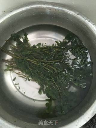凉拌马齿苋的做法步骤：3