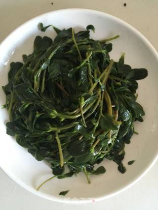 凉拌马齿苋的做法步骤：4