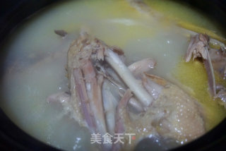 三伏养生老鸭汤的做法步骤：3