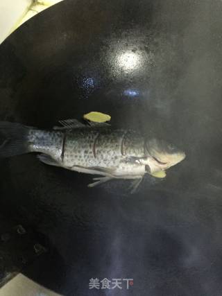 姬菇烧鲫鱼的做法步骤：4
