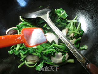 香菇炒鸡毛菜的做法步骤：4