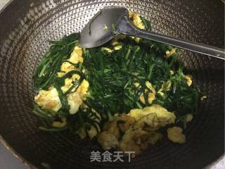 韭菜炒鸡蛋的做法步骤：9